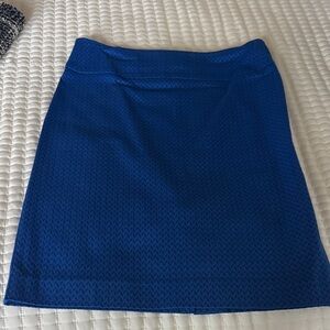 Margaret M Vibrant Blue A-Line Skirt